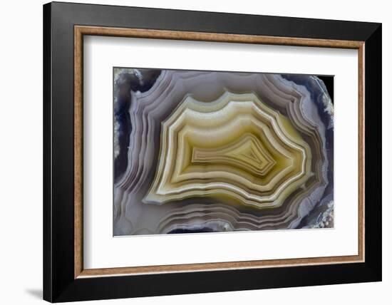 Banded Mexican Agate, Sammamish, WA-Darrell Gulin-Framed Photographic Print