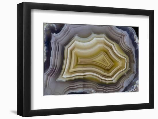 Banded Mexican Agate, Sammamish, WA-Darrell Gulin-Framed Photographic Print