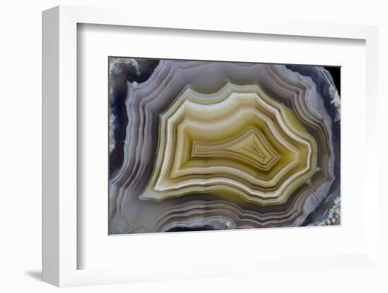 Banded Mexican Agate, Sammamish, WA-Darrell Gulin-Framed Photographic Print