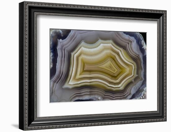 Banded Mexican Agate, Sammamish, WA-Darrell Gulin-Framed Photographic Print