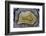 Banded Mexican Agate, Sammamish, WA-Darrell Gulin-Framed Photographic Print