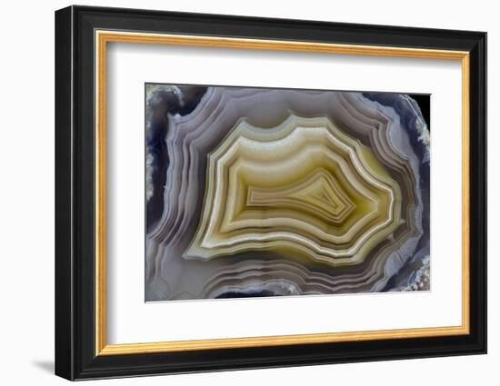 Banded Mexican Agate, Sammamish, WA-Darrell Gulin-Framed Photographic Print