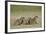 Banded Mongoose (Mungos Mungo), Serengeti National Park, Tanzania, East Africa, Africa-James Hager-Framed Photographic Print