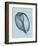 Banded Tun Shell (light blue)-Bert Myers-Framed Art Print