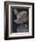 Banded Venus-Philip Henry Gosse-Framed Giclee Print