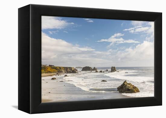 Bandon, Oregon, USA. Sea stacks and surf on Bandon Beach on the Oregon coast.-Emily Wilson-Framed Premier Image Canvas