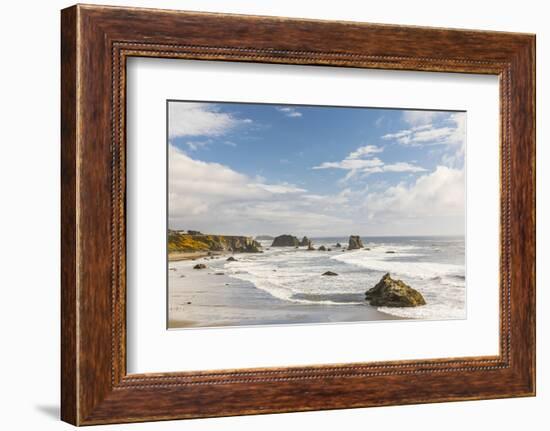 Bandon, Oregon, USA. Sea stacks and surf on Bandon Beach on the Oregon coast.-Emily Wilson-Framed Photographic Print