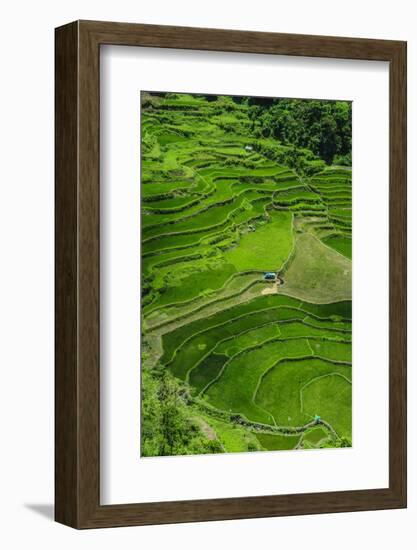 Bangaan in the Rice Terraces of Banaue, Northern Luzon, Philippines-Michael Runkel-Framed Photographic Print