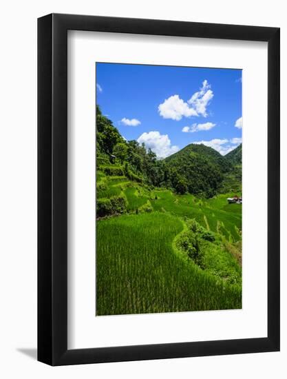 Bangaan in the Rice Terraces of Banaue, Northern Luzon, Philippines-Michael Runkel-Framed Photographic Print