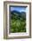 Bangaan in the Rice Terraces of Banaue, Northern Luzon, Philippines-Michael Runkel-Framed Photographic Print