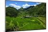 Bangaan in the Rice Terraces of Banaue, Northern Luzon, Philippines-Michael Runkel-Mounted Photographic Print