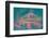 Bangkok Bridge-Marco Carmassi-Framed Photographic Print