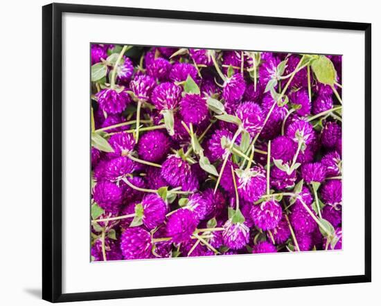 Bangkok Street Flower Market. Flowers Ready for Display at Many Places including Temples-Terry Eggers-Framed Photographic Print