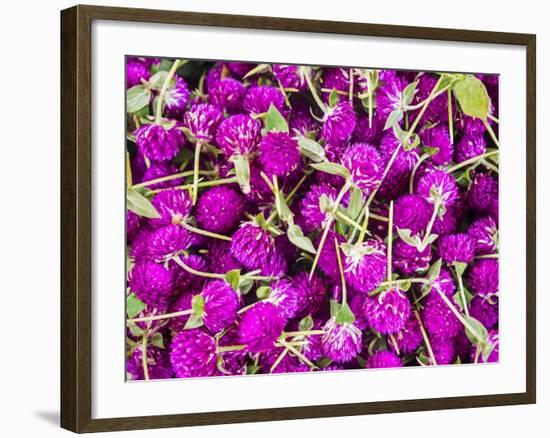 Bangkok Street Flower Market. Flowers Ready for Display at Many Places including Temples-Terry Eggers-Framed Photographic Print