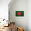 Bangladesh Flag Design with Wood Patterning - Flags of the World Series-Philippe Hugonnard-Art Print displayed on a wall
