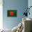 Bangladesh Flag Design with Wood Patterning - Flags of the World Series-Philippe Hugonnard-Framed Stretched Canvas displayed on a wall