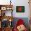 Bangladesh Flag Design with Wood Patterning - Flags of the World Series-Philippe Hugonnard-Framed Stretched Canvas displayed on a wall