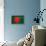 Bangladesh Flag Design with Wood Patterning - Flags of the World Series-Philippe Hugonnard-Framed Stretched Canvas displayed on a wall