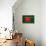 Bangladesh Flag Design with Wood Patterning - Flags of the World Series-Philippe Hugonnard-Framed Stretched Canvas displayed on a wall