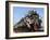 Bangladeshi Muslim Pilgrims Crowd a Train as They Return Home after Three-Day Islamic Congregation-null-Framed Photographic Print