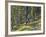 Bangtail Ridge Trail near Bozeman, Montana, USA-Chuck Haney-Framed Photographic Print