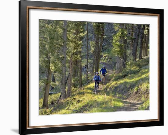 Bangtail Ridge Trail near Bozeman, Montana, USA-Chuck Haney-Framed Photographic Print