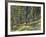 Bangtail Ridge Trail near Bozeman, Montana, USA-Chuck Haney-Framed Photographic Print