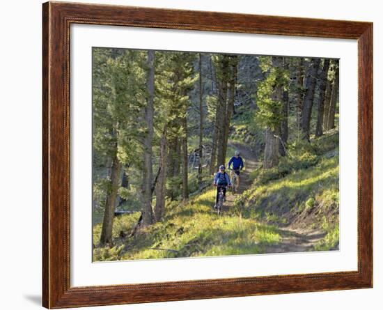 Bangtail Ridge Trail near Bozeman, Montana, USA-Chuck Haney-Framed Photographic Print