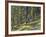 Bangtail Ridge Trail near Bozeman, Montana, USA-Chuck Haney-Framed Photographic Print