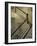 Banister Along a Staircase-null-Framed Photographic Print