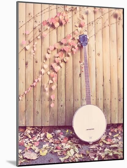 Banjo Against Fence-Jillian Melnyk-Mounted Photographic Print