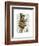 Banjo Bear-Fab Funky-Framed Art Print