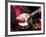 Banjo Player Detail, Grand Ole Opry at Ryman Auditorium, Nashville, Tennessee, USA-Walter Bibikow-Framed Photographic Print