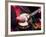 Banjo Player Detail, Grand Ole Opry at Ryman Auditorium, Nashville, Tennessee, USA-Walter Bibikow-Framed Photographic Print