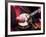 Banjo Player Detail, Grand Ole Opry at Ryman Auditorium, Nashville, Tennessee, USA-Walter Bibikow-Framed Photographic Print