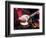 Banjo Player Detail, Grand Ole Opry at Ryman Auditorium, Nashville, Tennessee, USA-Walter Bibikow-Framed Photographic Print