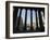 Bank of England Seen from the Steps of the Royal Exchange, City of London, London, England-Ethel Davies-Framed Photographic Print