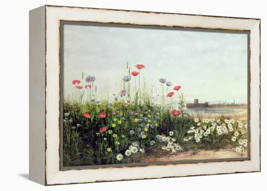 Bank of Summer Flowers-Andrew Nicholl-Framed Premier Image Canvas