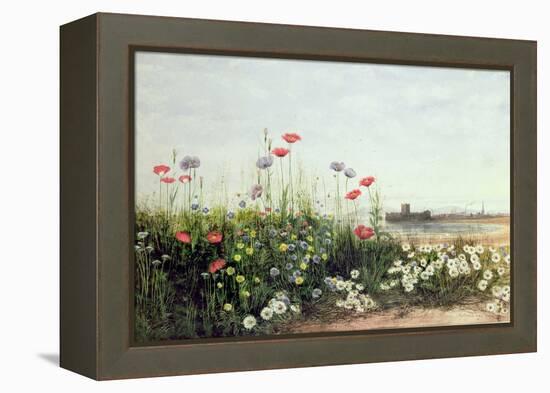 Bank of Summer Flowers-Andrew Nicholl-Framed Premier Image Canvas