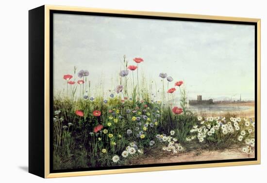 Bank of Summer Flowers-Andrew Nicholl-Framed Premier Image Canvas