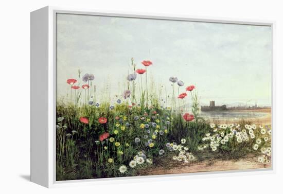 Bank of Summer Flowers-Andrew Nicholl-Framed Premier Image Canvas