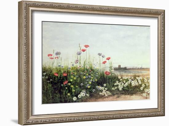 Bank of Summer Flowers-Andrew Nicholl-Framed Giclee Print