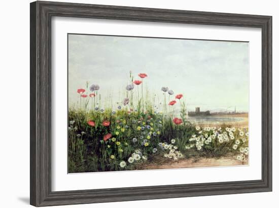 Bank of Summer Flowers-Andrew Nicholl-Framed Giclee Print