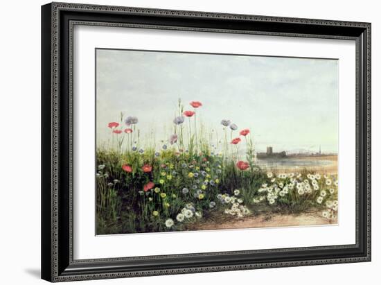 Bank of Summer Flowers-Andrew Nicholl-Framed Giclee Print