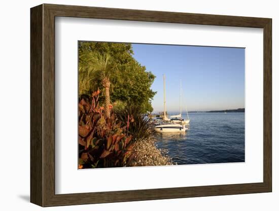 Bank Promenade uberlingen, Lake of Constance, Germany-Ernst Wrba-Framed Photographic Print