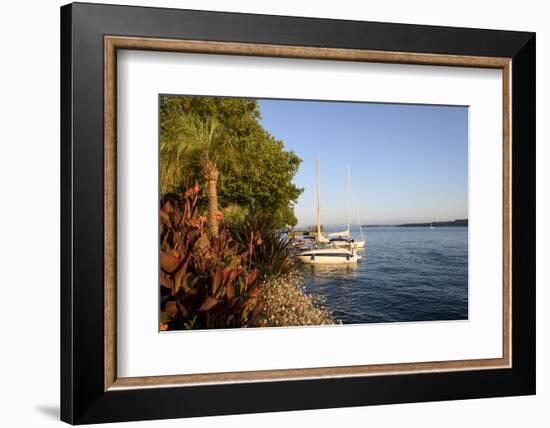 Bank Promenade uberlingen, Lake of Constance, Germany-Ernst Wrba-Framed Photographic Print