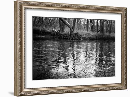 Bank Study #1-Trent Foltz-Framed Art Print