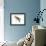Bank Swallow (Riparia Riparia), Martin, Birds-Encyclopaedia Britannica-Framed Art Print displayed on a wall