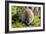 Bank Vole-Duncan Shaw-Framed Photographic Print