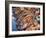 Bankok Food Market with a a Large Variety of Food Choices-Terry Eggers-Framed Photographic Print